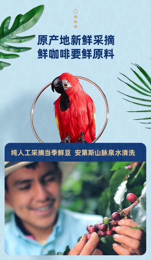 美丽市场-隅田川哥伦比亚原产地系列速溶冻干黑咖啡（醇） 商品图2