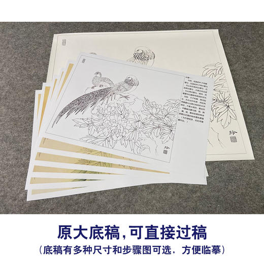 【有步骤、大彩图】郑玲玲工笔画白描底稿小品《醉赏春意浓》牡丹锦鸡初学者临摹花鸟线稿ZL09 商品图1