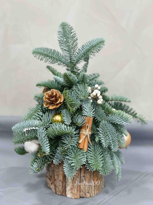 2021圣诞树新款丨进口诺贝松手工圣诞树（4款入） 商品图1