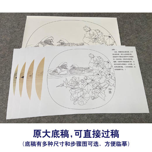 【有步骤、大彩图】郑玲玲工笔画白描底稿小品《芙蓉鸳鸯图》初学者临摹花鸟线稿ZL13 商品图1