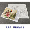 【有步骤、大彩图】郑玲玲工笔画白描底稿小品《醉赏春意浓》牡丹锦鸡初学者临摹花鸟线稿ZL09 商品缩略图2