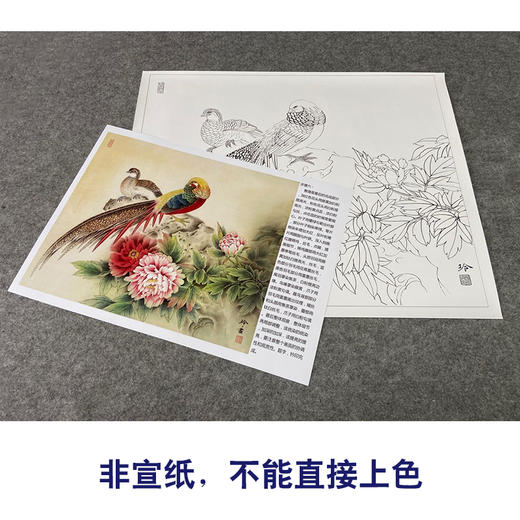 【有步骤、大彩图】郑玲玲工笔画白描底稿小品《醉赏春意浓》牡丹锦鸡初学者临摹花鸟线稿ZL09 商品图2