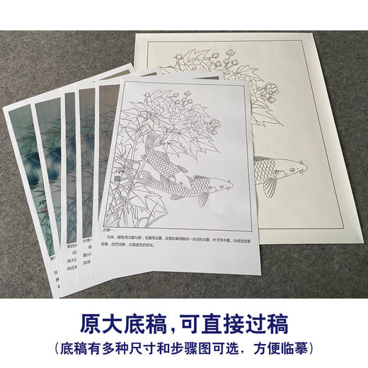 【有步骤、大彩图】郑玲玲工笔画白描底稿《醉清梦》芙蓉鲤鱼初学者临摹花鸟线稿ZL33 商品图1