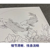 【有步骤、大彩图】郑玲玲工笔花鸟画白描底稿圆形小品《畅游花间》牡丹鲤鱼初学者临摹花鸟线稿ZL16 商品缩略图4