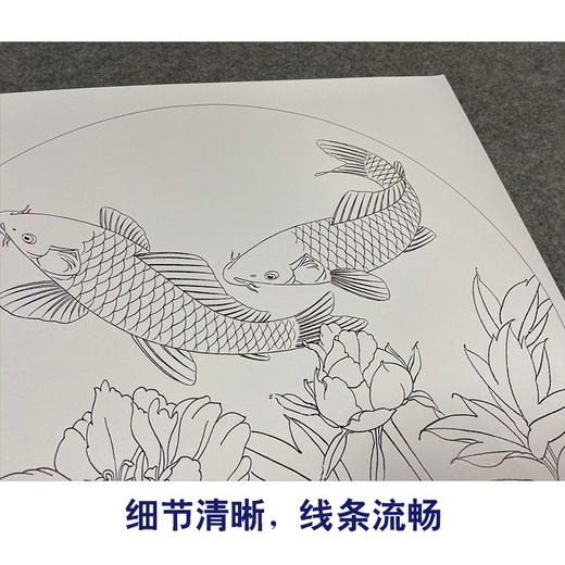 【有步骤、大彩图】郑玲玲工笔花鸟画白描底稿圆形小品《畅游花间》牡丹鲤鱼初学者临摹花鸟线稿ZL16 商品图4