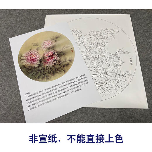 【有步骤、大彩图】郑玲玲工笔画白描底稿圆形小品《春分蝴蝶梦花间》牡丹蝴蝶初学者临摹花鸟线稿ZL12 商品图2