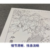 【有步骤、大彩图】郑玲玲工笔画白描底稿《逍遥游》芙蓉鲤鱼初学者临摹花鸟线稿ZL31 商品缩略图4