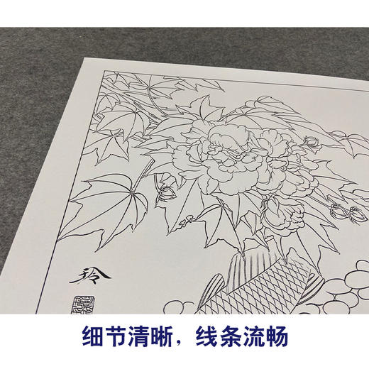 【有步骤、大彩图】郑玲玲工笔画白描底稿《逍遥游》芙蓉鲤鱼初学者临摹花鸟线稿ZL31 商品图4
