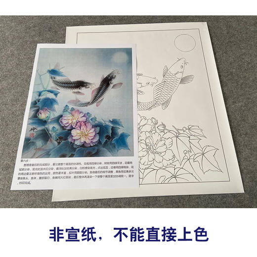 【有步骤、大彩图】郑玲玲工笔画白描底稿《花月同醉》牡丹鲤鱼初学者临摹花鸟线稿ZL34 商品图2