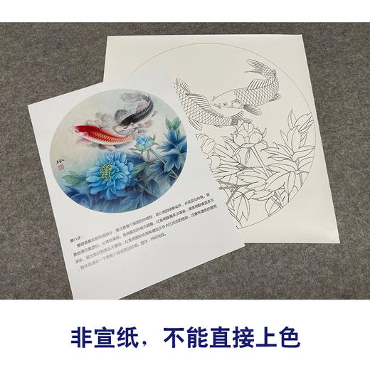 【有步骤、大彩图】郑玲玲工笔花鸟画白描底稿圆形小品《畅游花间》牡丹鲤鱼初学者临摹花鸟线稿ZL16 商品图2