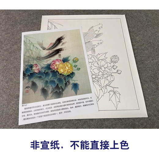 【有步骤、大彩图】郑玲玲工笔画白描底稿《静谧朝阳》牡丹鲤鱼初学者临摹花鸟线稿ZL30 商品图2