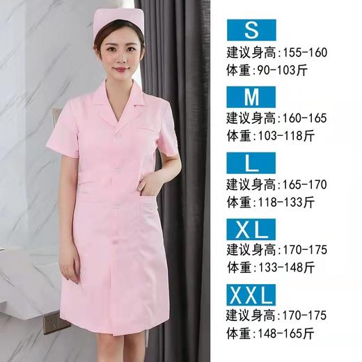 白大褂粉色短袖L号(女） 商品图0
