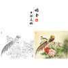 【有步骤、大彩图】郑玲玲工笔画白描底稿小品《醉赏春意浓》牡丹锦鸡初学者临摹花鸟线稿ZL09 商品缩略图0