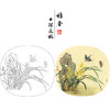 【有步骤、大彩图】郑玲玲工笔画白描底稿小品《兰花双蝶》初学者临摹花鸟线稿ZL15 商品缩略图0
