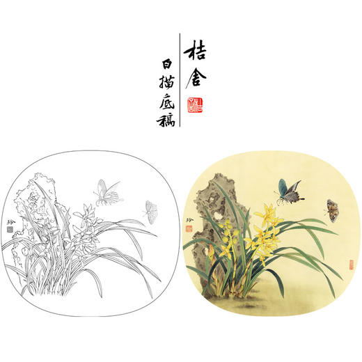【有步骤、大彩图】郑玲玲工笔画白描底稿小品《兰花双蝶》初学者临摹花鸟线稿ZL15 商品图0