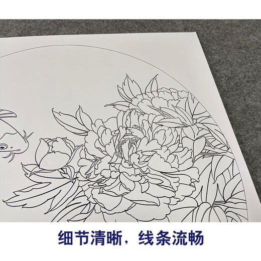 【有步骤、大彩图】郑玲玲工笔画白描稿圆形小品《夏日凝香》牡丹鲤鱼初学者临摹花鸟线稿ZL25 商品图4