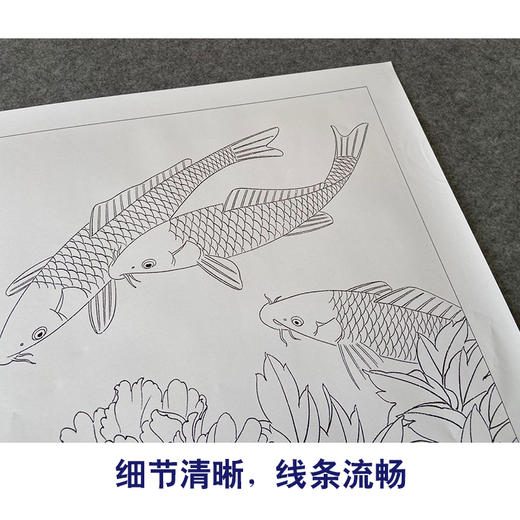【有步骤、大彩图】郑玲玲工笔画白描底稿《牡丹鱼乐图》牡丹鲤鱼初学者临摹花鸟线稿ZL41 商品图4