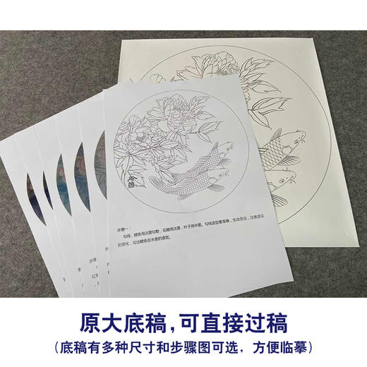 【有步骤、大彩图】郑玲玲工笔画白描底稿圆形小品《绝色双娇》牡丹鲤鱼初学者临摹花鸟线稿ZL20 商品图1