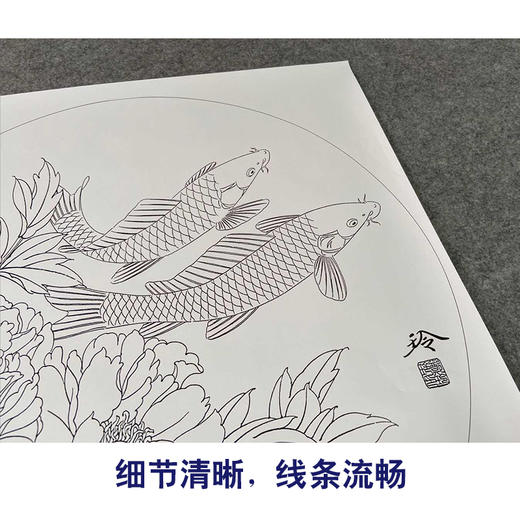 【有步骤、大彩图】郑玲玲工笔画白描底稿圆形小品《悠然自乐》牡丹鲤鱼初学者临摹花鸟线稿ZL19 商品图4
