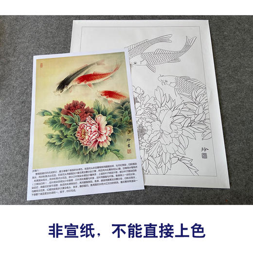 【有步骤、大彩图】郑玲玲工笔画白描底稿《牡丹鱼乐图》牡丹鲤鱼初学者临摹花鸟线稿ZL41 商品图2