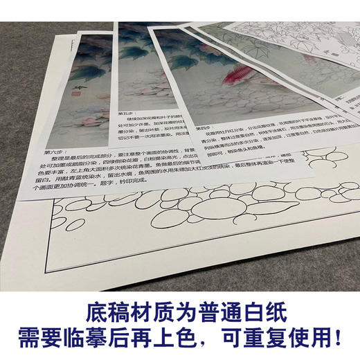 【有步骤、大彩图】郑玲玲工笔画白描底稿《逍遥游》芙蓉鲤鱼初学者临摹花鸟线稿ZL31 商品图3