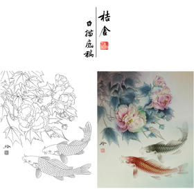 【有步骤、大彩图】郑玲玲工笔画白描底稿《锦上添花》鲤鱼初学者临摹花鸟线稿ZL39