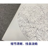 【有步骤、大彩图】郑玲玲工笔画白描底稿圆形小品《春分蝴蝶梦花间》牡丹蝴蝶初学者临摹花鸟线稿ZL12 商品缩略图4