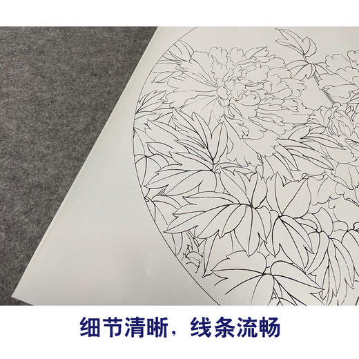 【有步骤、大彩图】郑玲玲工笔画白描底稿圆形小品《春分蝴蝶梦花间》牡丹蝴蝶初学者临摹花鸟线稿ZL12 商品图4