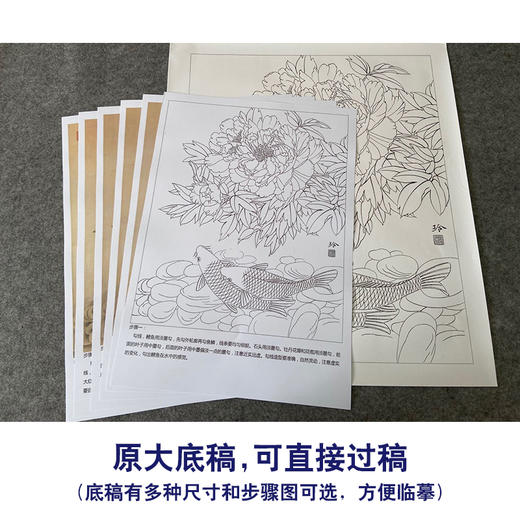 【有步骤、大彩图】郑玲玲工笔画白描稿《双锦比翼》牡丹鲤鱼初学者临摹花鸟线稿ZL40 商品图1