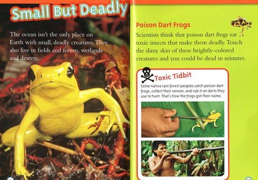 【宝莉爹书单·7-15】三阶段25册 美国国家地理分级阅读 National Geographic Kids Readers L3 英文原版 百科动物系列 儿童分级读物动物自然百科 商品图4