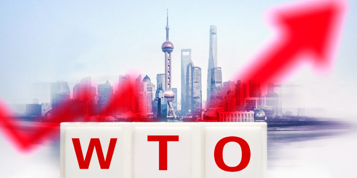 加入WTO 20年，中国“再出发”.jpg