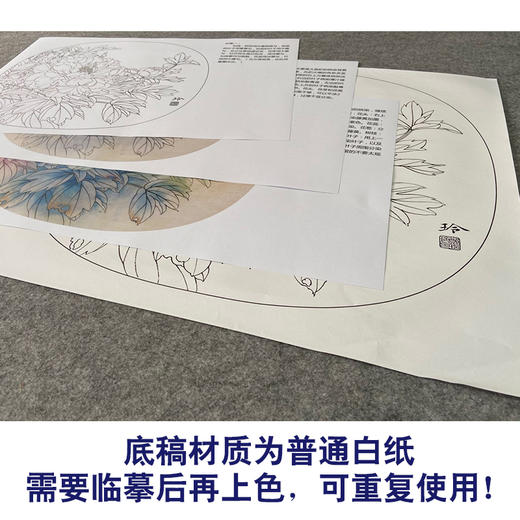 【有步骤、大彩图】郑玲玲工笔画白描底稿小品《清夏》牡丹初学者临摹花鸟线稿ZL78 商品图3