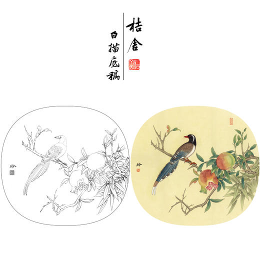 【有步骤、大彩图】郑玲玲工笔画白描稿圆形小品《临风独秀》石榴初学者临摹花鸟线稿ZL87 商品图0