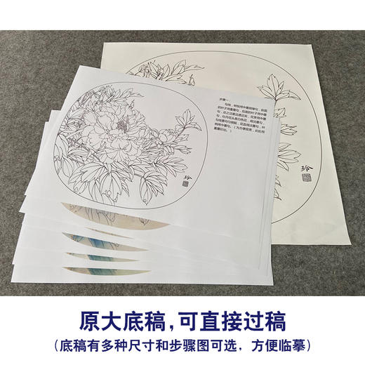 【有步骤、大彩图】郑玲玲工笔画白描底稿小品《清夏》牡丹初学者临摹花鸟线稿ZL78 商品图1
