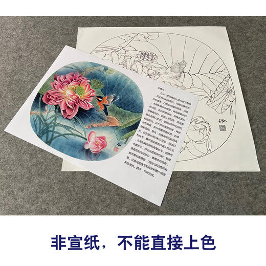 【有步骤、大彩图】郑玲玲工笔画白描底稿小品《碧荷生幽泉》荷花翠鸟初学者临摹花鸟线稿ZL80 商品图2