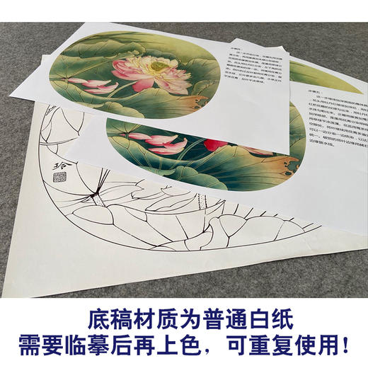 【有步骤、大彩图】郑玲玲工笔画白描底稿小品《清夏荷香》荷花初学者临摹花鸟线稿ZL83 商品图3