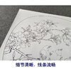 【有步骤、大彩图】郑玲玲工笔画白描底稿小品《逸韵悠然》石榴初学者临摹花鸟线稿ZL86 商品缩略图4