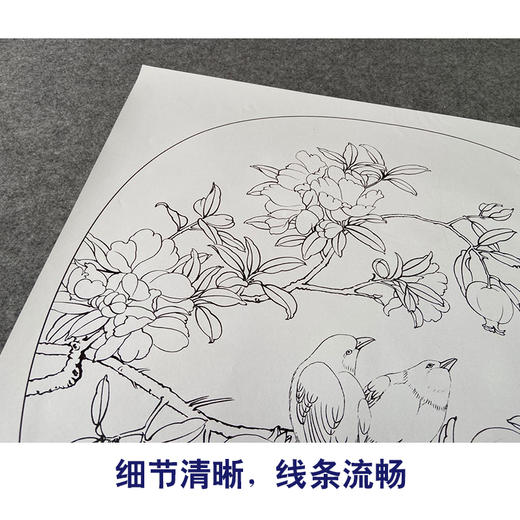 【有步骤、大彩图】郑玲玲工笔画白描底稿小品《逸韵悠然》石榴初学者临摹花鸟线稿ZL86 商品图4