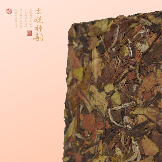 太姥山 太姥神韵2016年寿眉白牡丹5年陈老白茶茶砖577g/片 商品图2