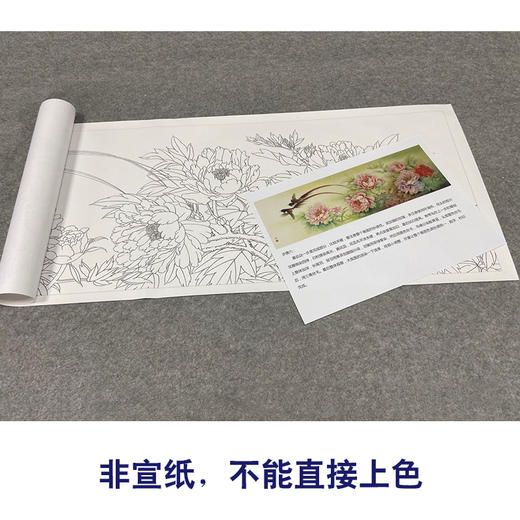 【有步骤、大彩图】郑玲玲横幅工笔画白描底稿《富贵长寿图》牡丹初学者临摹花鸟线稿ZL90 商品图2