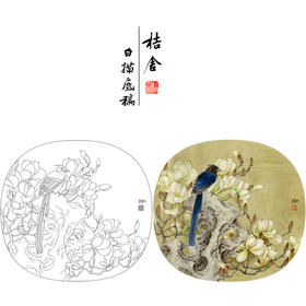 【有步骤、大彩图】郑玲玲工笔画白描底稿小品《静思春意》广玉兰初学者临摹花鸟线稿ZL67