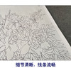 【有步骤、大彩图】郑玲玲横幅工笔画白描底稿《祥辉锦羽图》锦鸡初学者临摹花鸟线稿ZL96 商品缩略图4