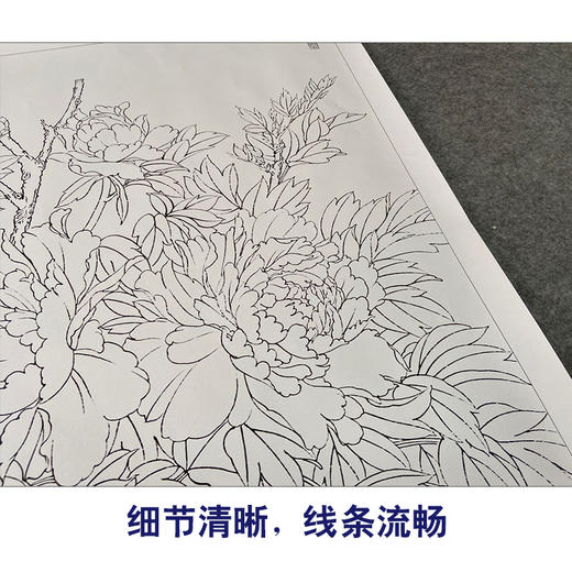 【有步骤、大彩图】郑玲玲横幅工笔画白描底稿《祥辉锦羽图》锦鸡初学者临摹花鸟线稿ZL96 商品图4