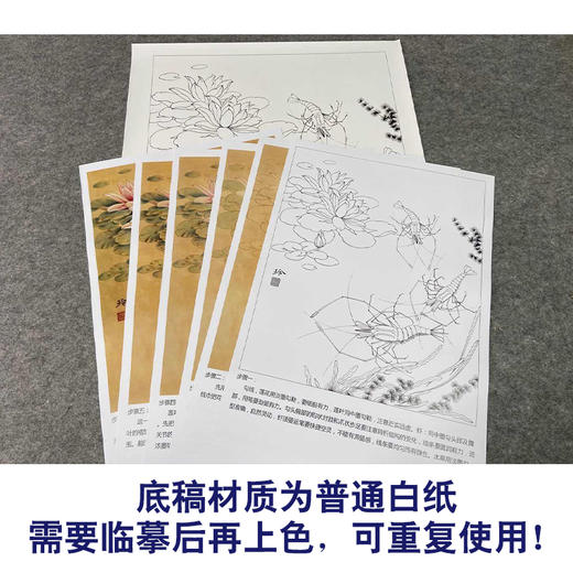 【有步骤、大彩图】郑玲玲工笔画白描底稿《虾趣图》荷花大虾初学者临摹花鸟线稿ZL49 商品图3