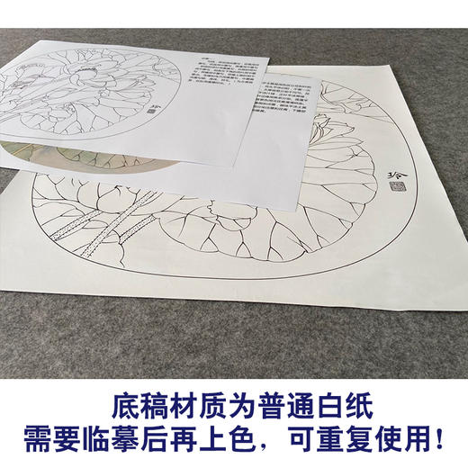 【有步骤、大彩图】郑玲玲工笔画白描稿小品《荷香幽韵》荷花初学者临摹花鸟线稿ZL81 商品图3