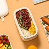 大宇 便携式迷你饭盒DYFH-15D 商品缩略图2