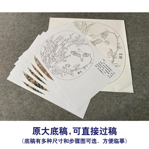 【有步骤、大彩图】郑玲玲工笔画白描底稿小品《一夜清香》梅花初学者临摹花鸟线稿ZL75 商品图1