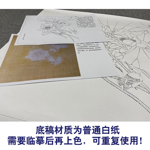 【有步骤、大彩图】郑玲玲工笔画白描底稿斗方小品《香风翠羽情意长》荷花初学者临摹花鸟线稿ZL89 商品图3
