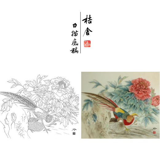 【有步骤、大彩图】郑玲玲工笔画白描底稿《富贵锦长》牡丹锦鸡初学者临摹花鸟线稿ZL59 商品图0