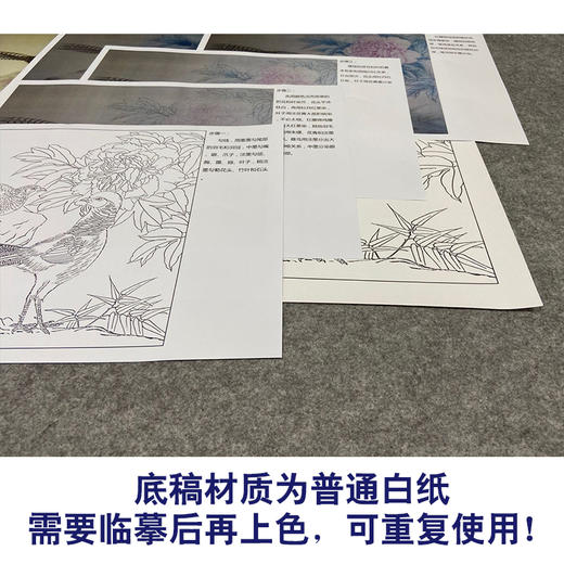 【有步骤、大彩图】郑玲玲工笔画白描底稿小品《雨后听竹声》锦鸡初学者临摹花鸟线稿ZL62 商品图3